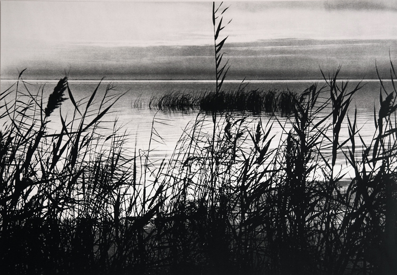 Camargue secrète, Lucien Clergue, 4e quart 20e siècle