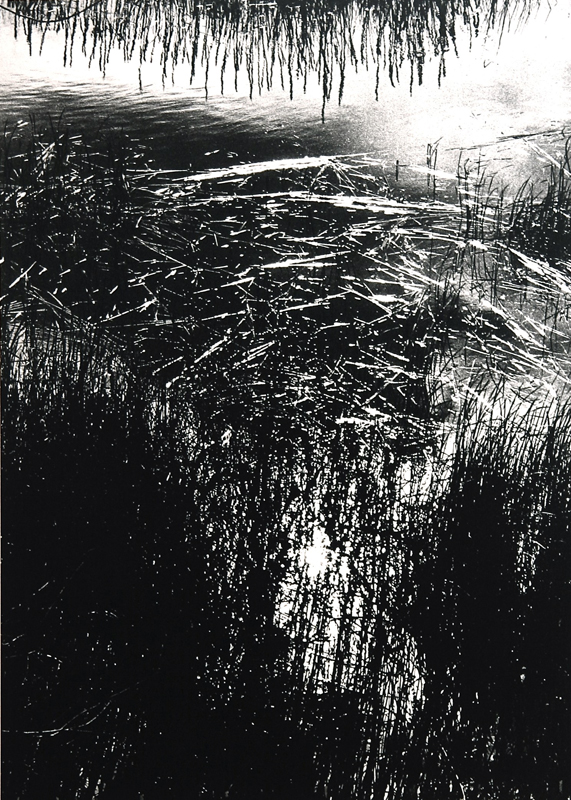Camargue secrète, Lucien Clergue, 4e quart 20e siècle
