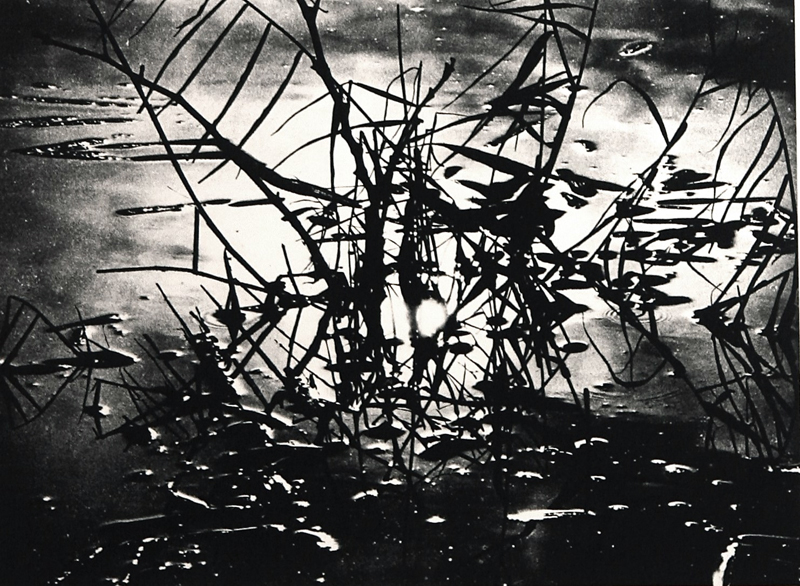 Camargue secrète, Lucien Clergue, 4e quart 20e siècle