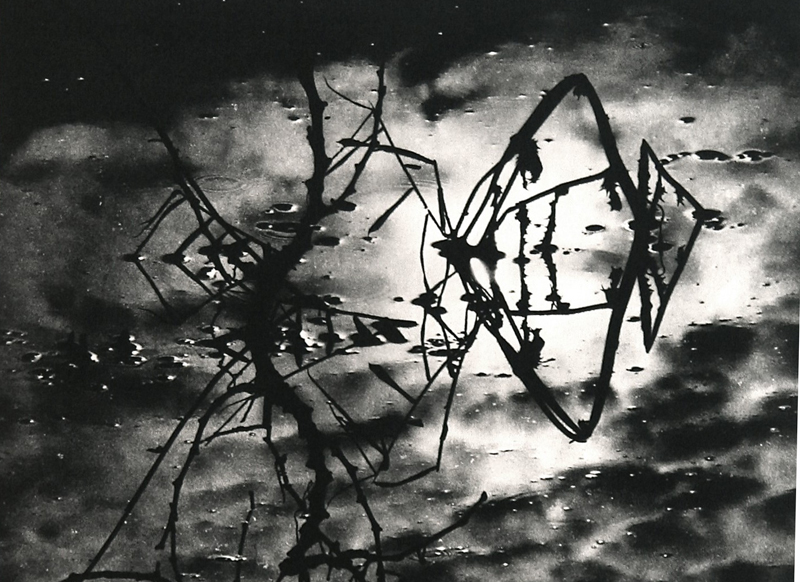Camargue secrète, Lucien Clergue, 4e quart 20e siècle