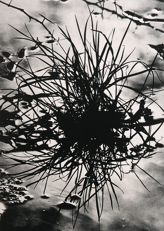 Camargue secrète, Lucien Clergue, 4e quart 20e siècle