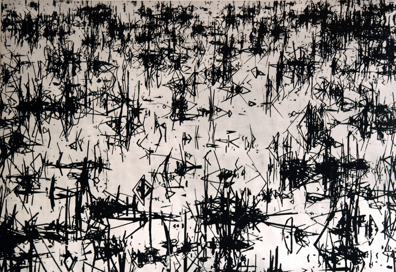 Camargue secrète, Lucien Clergue, 4e quart 20e siècle