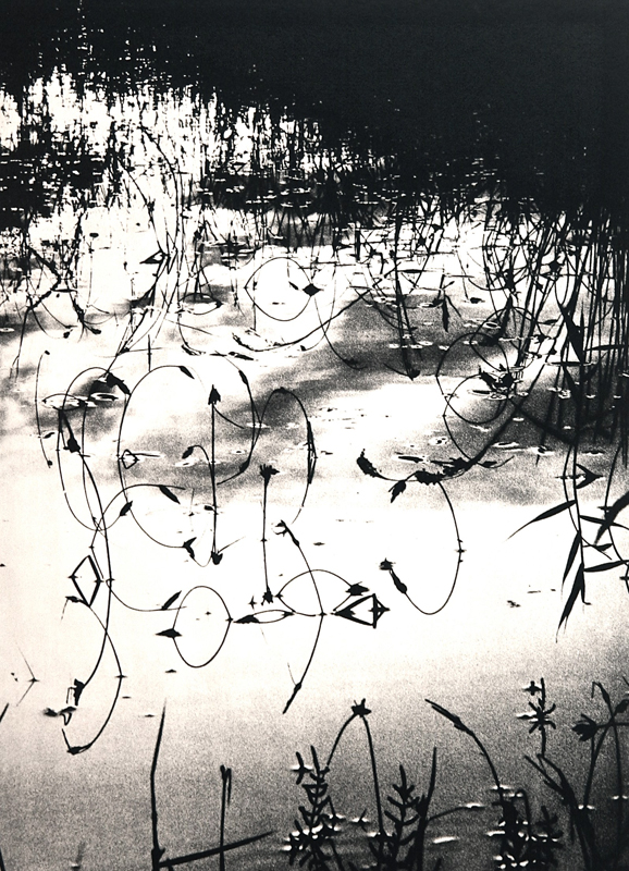 Camargue secrète, Lucien Clergue, 4e quart 20e siècle
