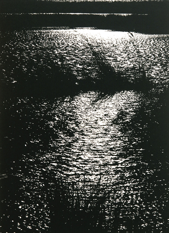 Camargue secrète, Lucien Clergue, 4e quart 20e siècle