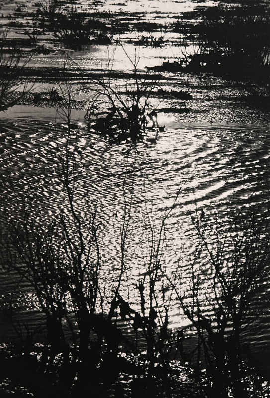Camargue secrète, Lucien Clergue, 4e quart 20e siècle