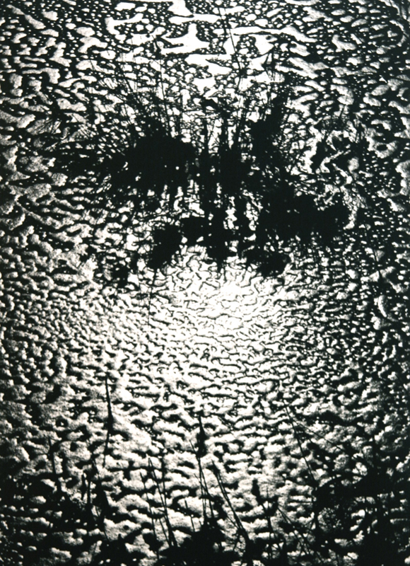 Camargue secrète, Lucien Clergue, 4e quart 20e siècle