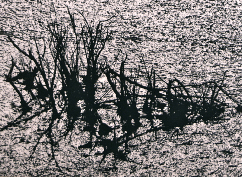 Camargue secrète, Lucien Clergue, 4e quart 20e siècle