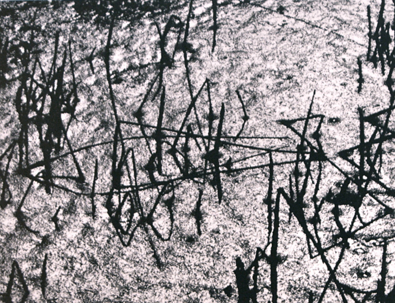 Camargue secrète, Lucien Clergue, 4e quart 20e siècle
