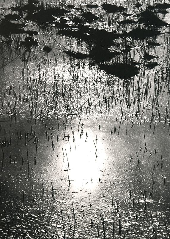 Camargue secrète, Lucien Clergue, 4e quart 20e siècle