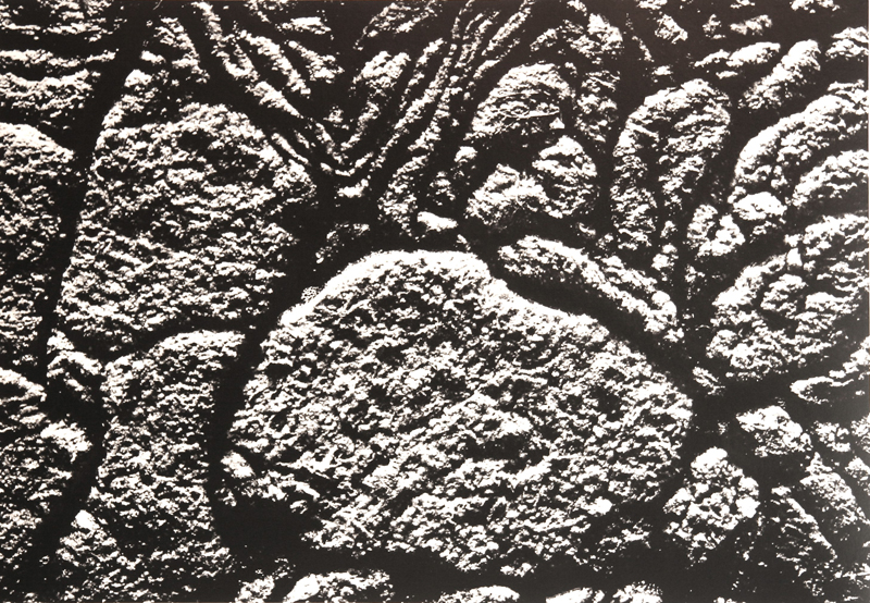 Camargue secrète, Lucien Clergue, 4e quart 20e siècle