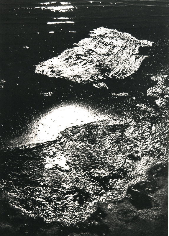 Camargue secrète, Lucien Clergue, 4e quart 20e siècle