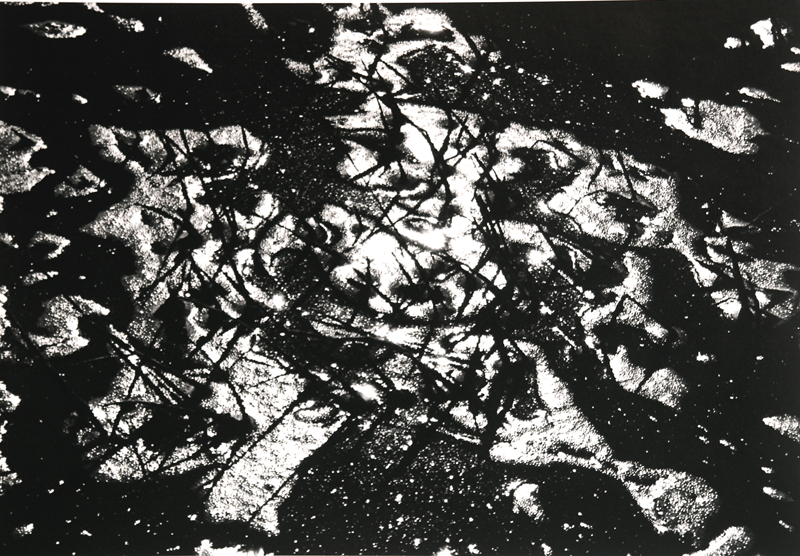 Camargue secrète, Lucien Clergue, 4e quart 20e siècle
