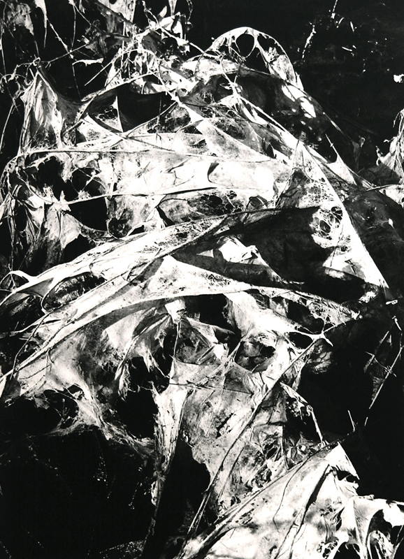 Camargue secrète, Lucien Clergue, 4e quart 20e siècle