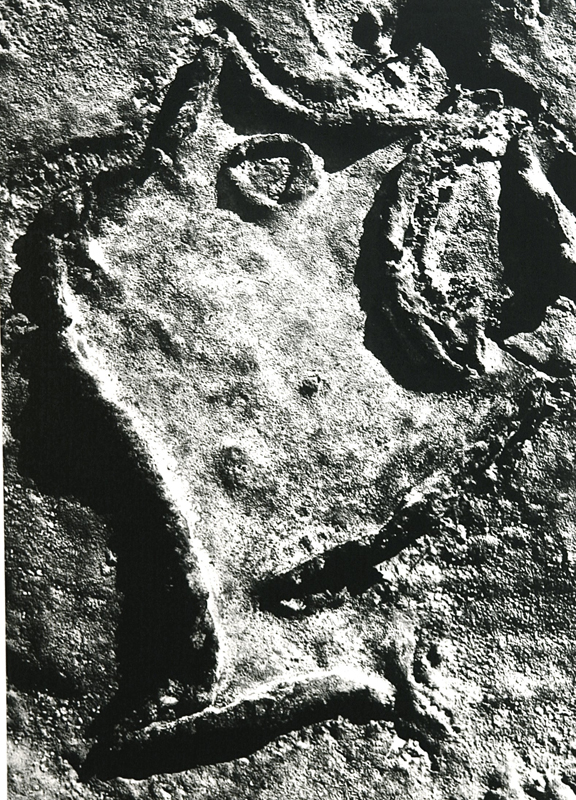 Camargue secrète, Lucien Clergue, 4e quart 20e siècle