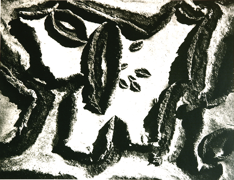 Camargue secrète, Lucien Clergue, 4e quart 20e siècle