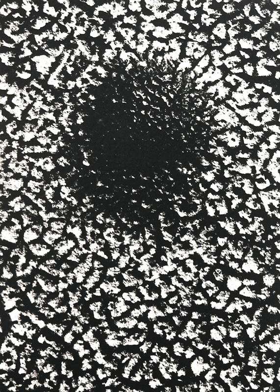Camargue secrète, Lucien Clergue, 4e quart 20e siècle