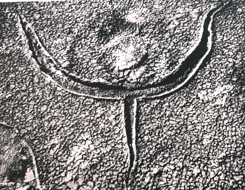 Camargue secrète, Lucien Clergue, 4e quart 20e siècle