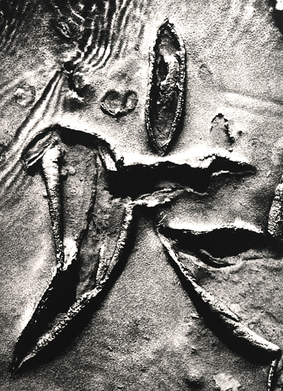 Camargue secrète, Lucien Clergue, 4e quart 20e siècle