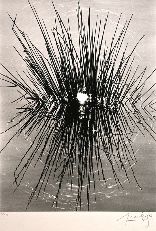Camargue secrète, Lucien Clergue, 4e quart 20e siècle