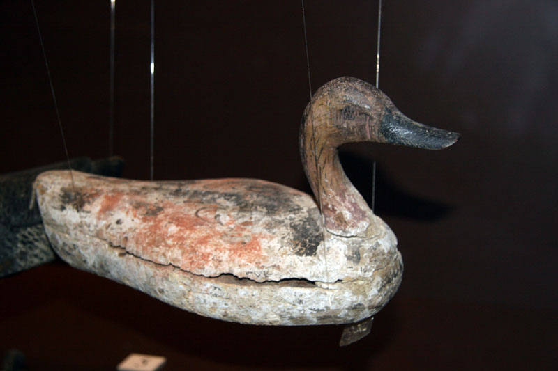 Appelant canard_0