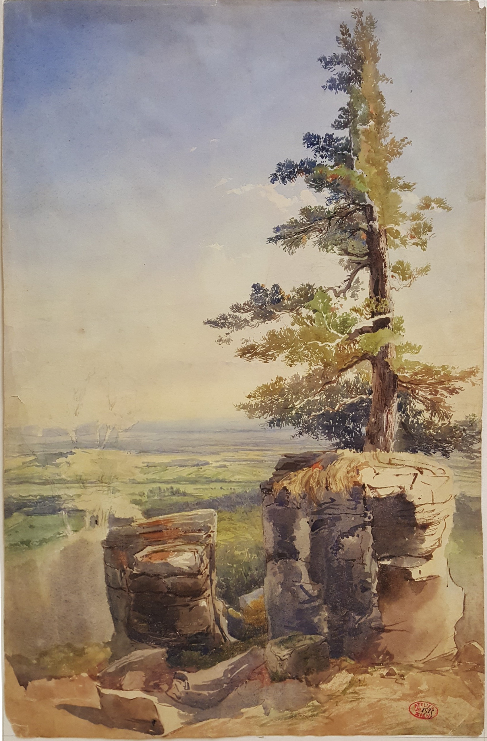 Russie (?), paysage au cèdre_0