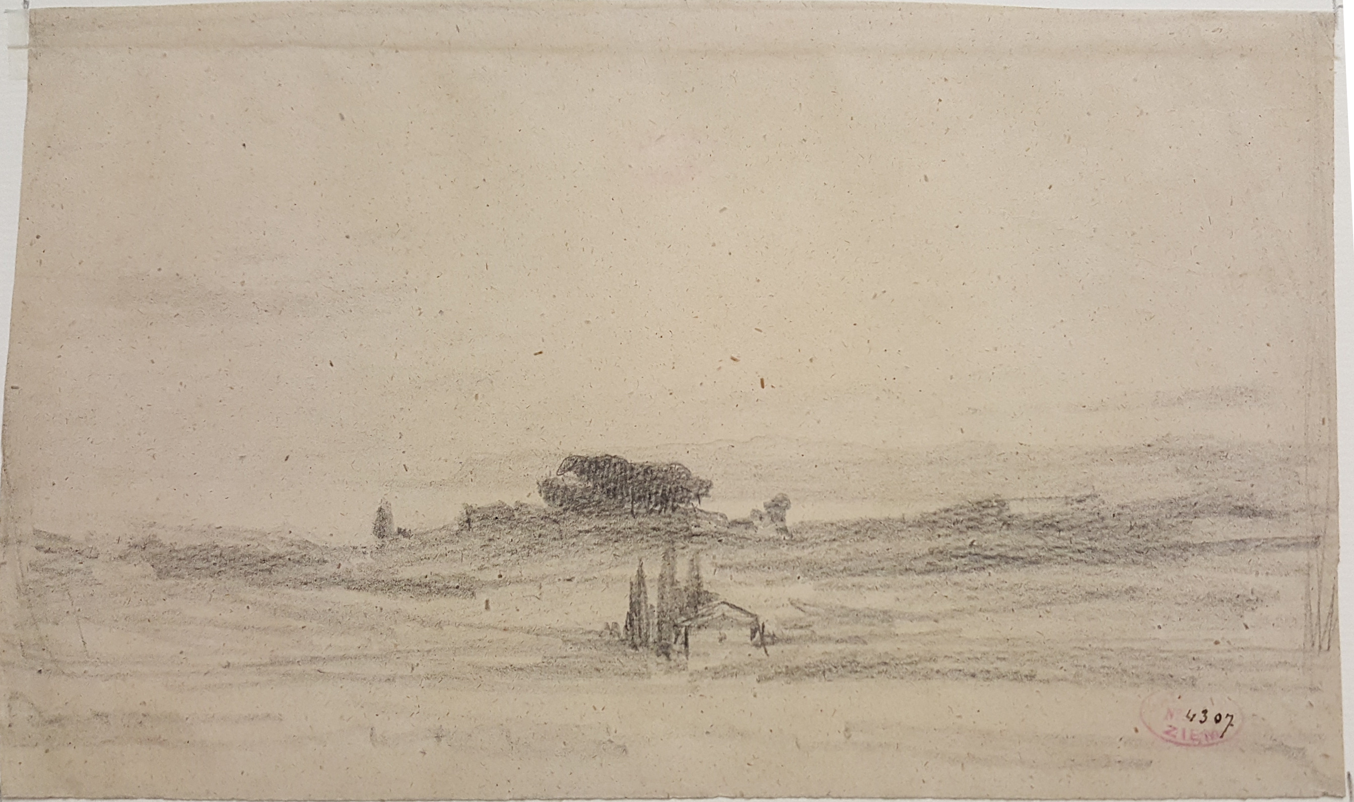 Italie, cyprès dans un paysage_0