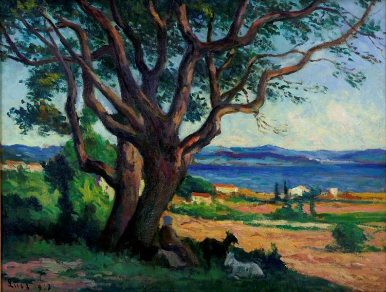 Vue du Golfe de Saint-Tropez_0