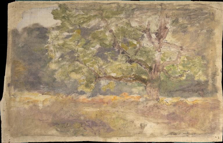 Près de la mare aux corneilles, Armand Charnay, 1889