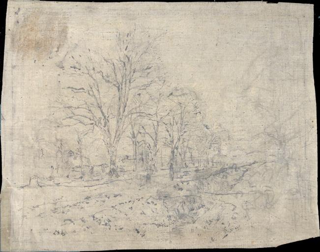 Arbres près d'un cours d'eau_0