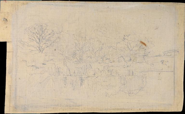 Arbres se reflétant dans l'eau_0