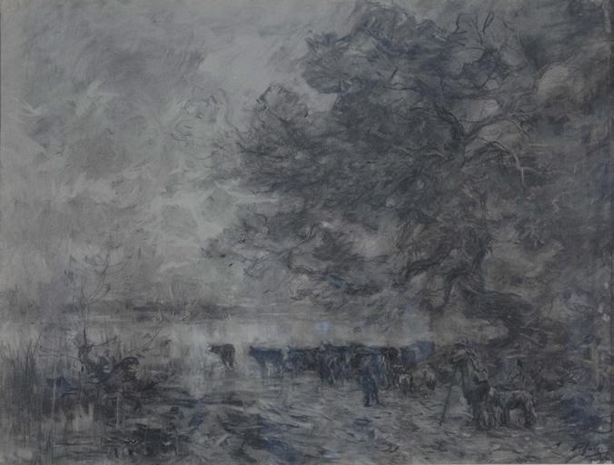 Troupeau de vaches s'abreuvant_0