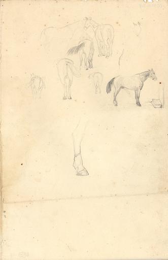 Etudes de cheval, Armand Charnay, 2e moitié 19e siècle, 1er quart 20e siècle