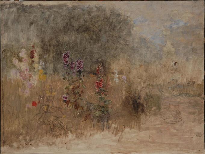 Les roses trémières_0
