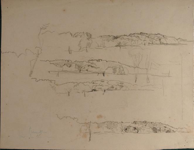 Etudes de forêt, Armand Charnay, 2e moitié 19e siècle, 1er quart 20e siècle