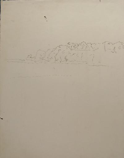 Etude de forêt_0