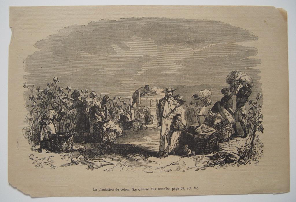 La plantation de coton (titre inscrit) (tiré de La Chasse aux bandits), 19e siècle