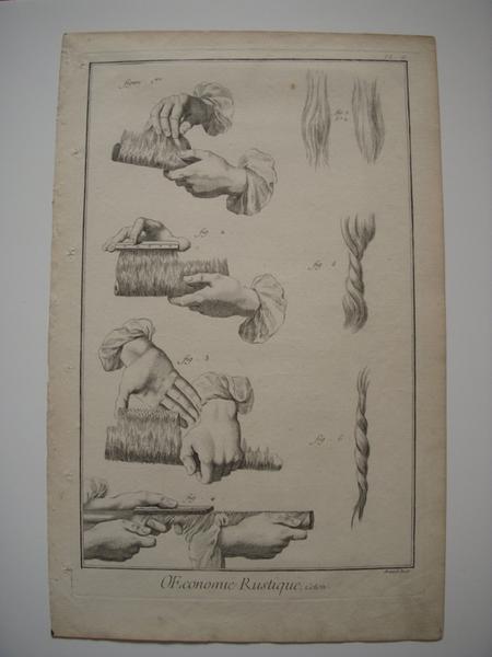 OEconomie rustique, Coton (titre inscrit) / Pl. II — Bénard, Robert