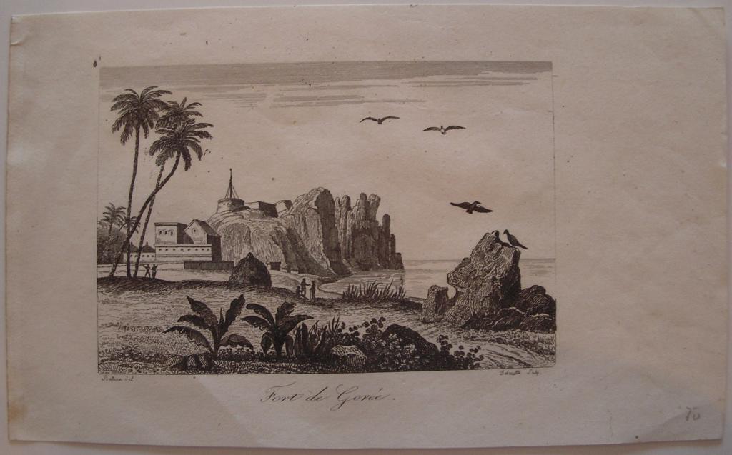 Fort de Gorée (titre inscrit), Buttura, 19e siècle