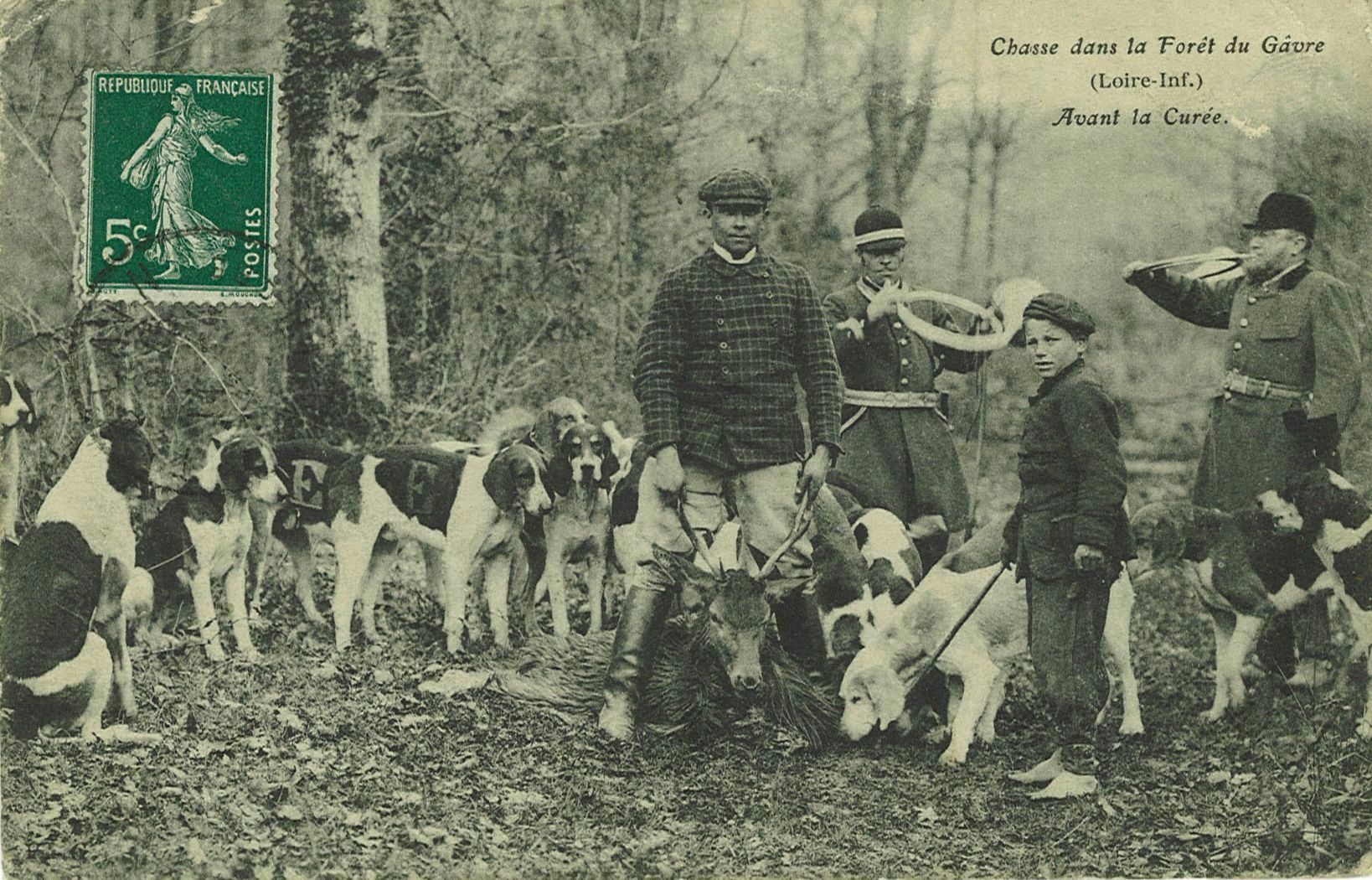 Chasse dans la Forêt du Gâvre - Avant la Curée_0