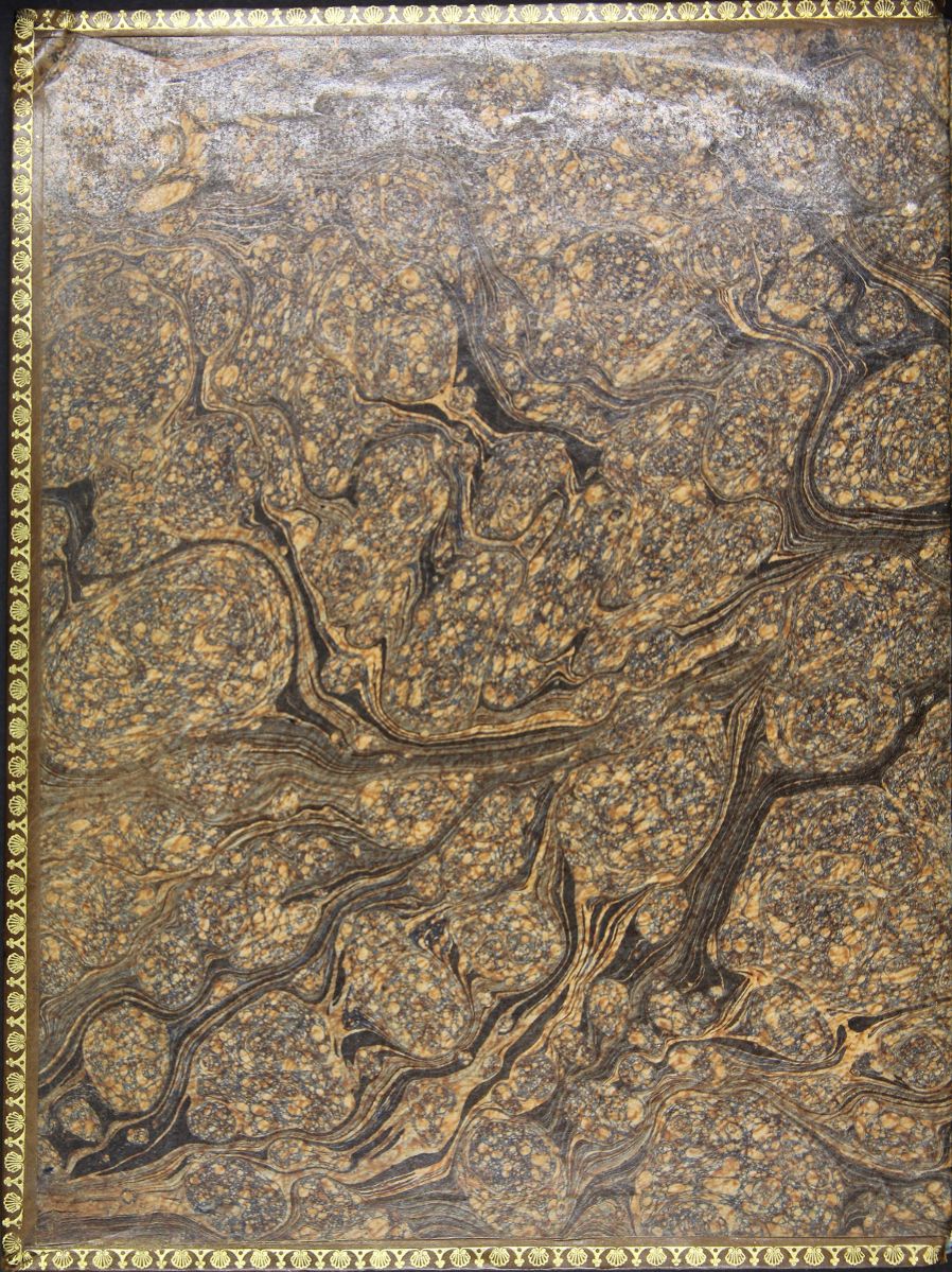 Veillée de Vénus_3