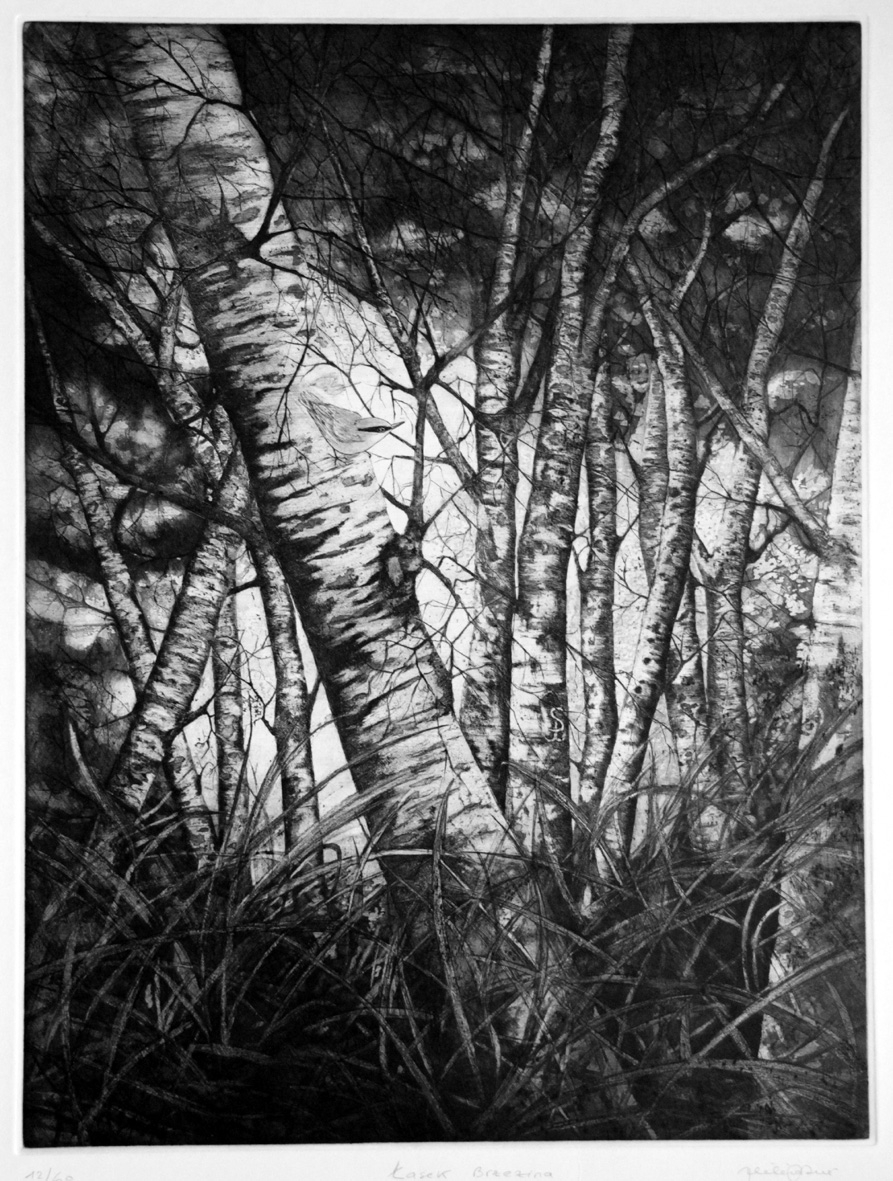 Tasek brzezina, Hélène Nué, 2000