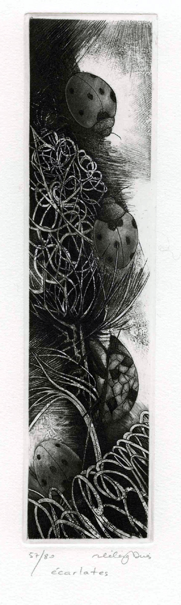 Ecarlates, Hélène Nué, 2000