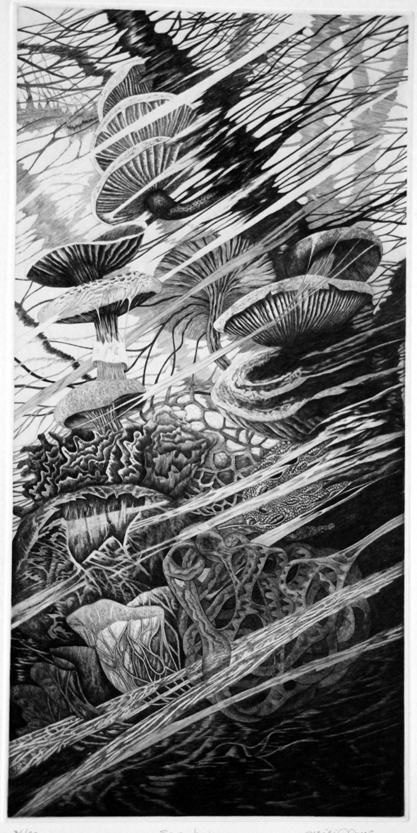 Sous-bois, Hélène Nué, 2002