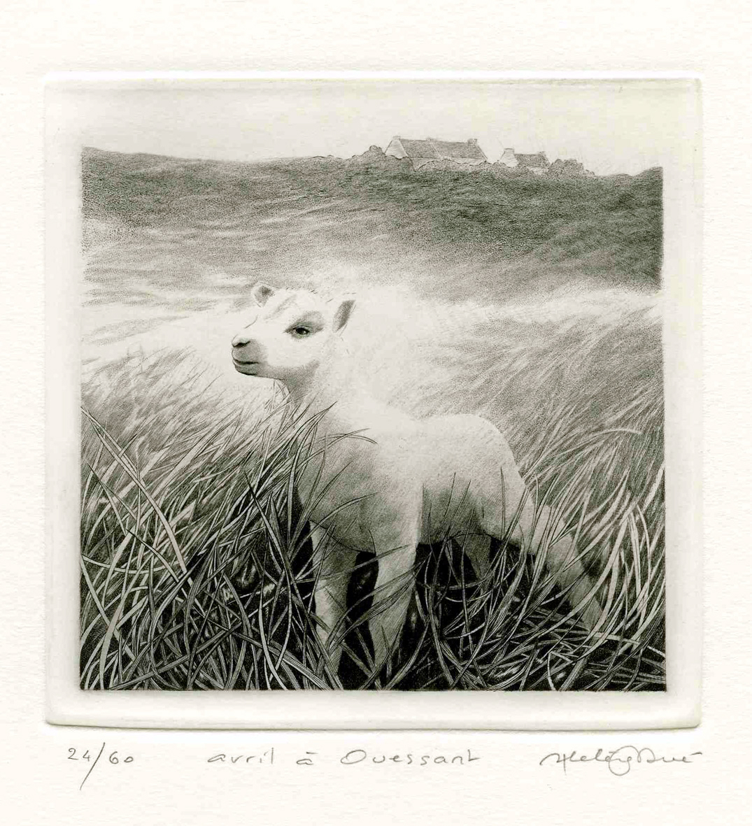Avril à Ouessant, Hélène Nué, 2003
