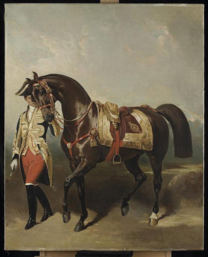 Lisa, jument favorite de Napoléon III_0