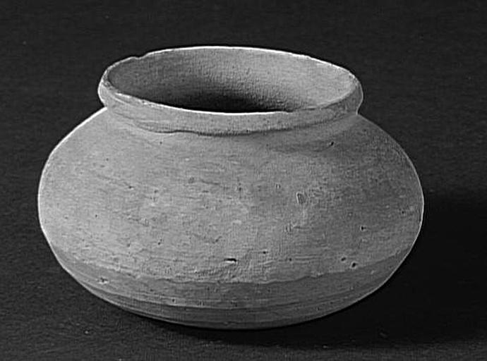 Vase (globulaire)_0