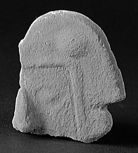 Fragment (céphalomorphe)_0