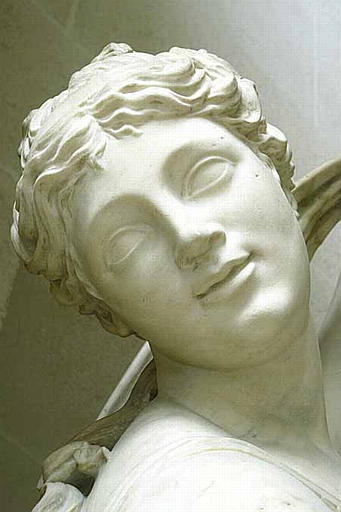 Vénus callipyge_1