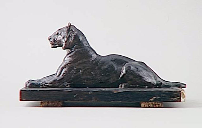Tigre couché en sphinx_0
