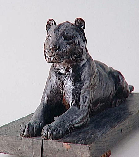 Tigre couché en sphinx_4